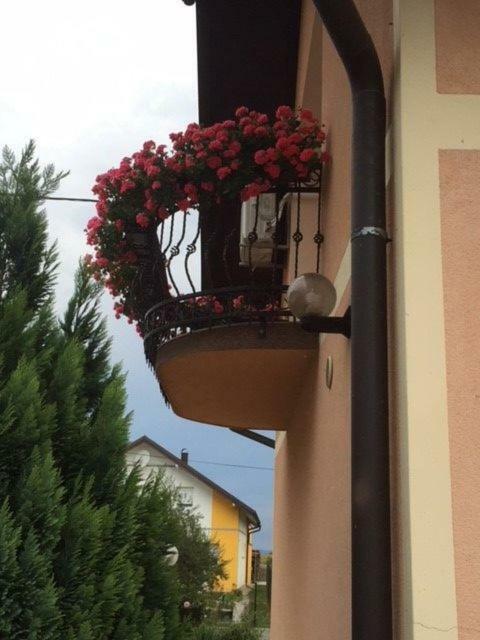 Apartman Hubertus 5* Vagovina Extérieur photo